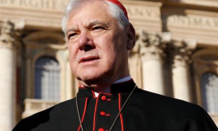 Cardinal: Alleged Vatican resistance to child protection a ‘cliche’