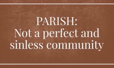 Parish: Not a perfect and sinless community