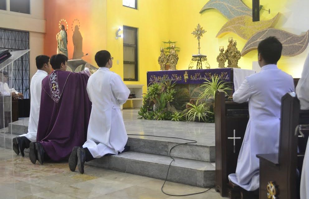 Clergy, seminarians reminded: Be ‘life advocates’