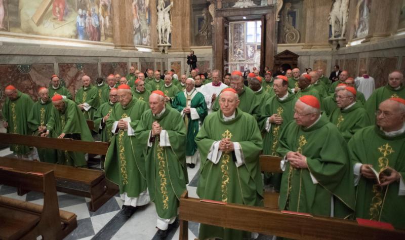 No church for old men: Cardinals called to be grandfathers, pope says