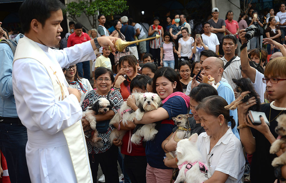 Blessing of pets