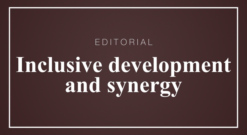 Inclusive development and synergy