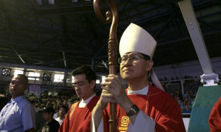 Cardinal Tagle urges lay people to work for more vocations