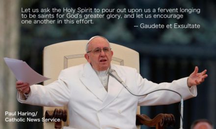 Selection of quotes from pope’s exhortation on holiness