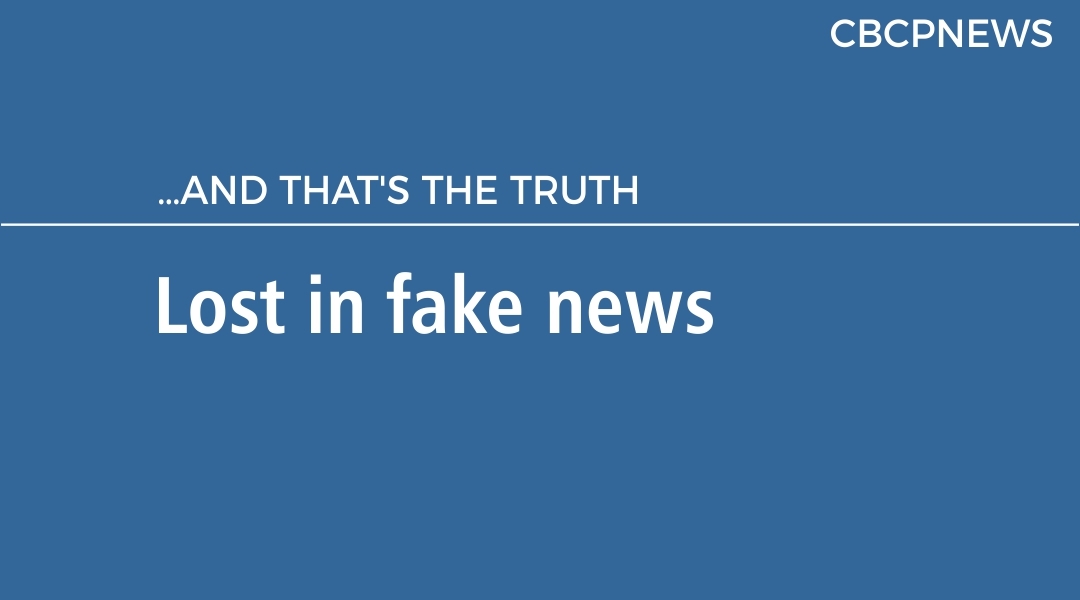 Lost in fake news