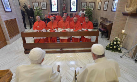 Pope Francis and new Cardinals visit Benedict XVI