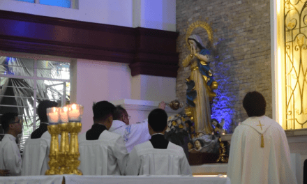 Priest on Assumption feast: ‘There’s more after death’