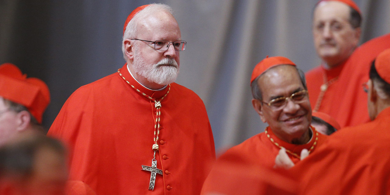 Clear response to abuse crisis is urgently needed, cardinal says
