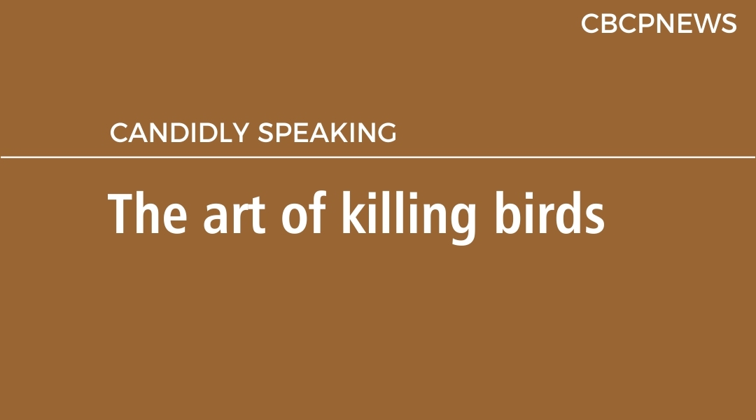 The art of killing birds