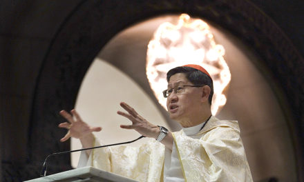 Cardinal Tagle: Be an angel for one another