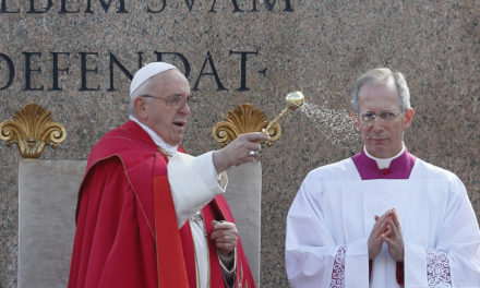 Embrace the cross, trust God will triumph, pope says on Palm Sunday