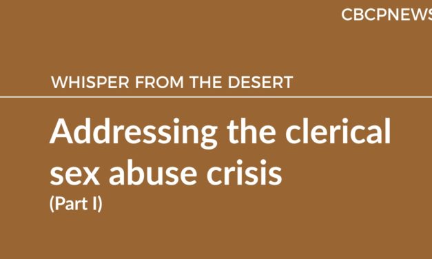 Addressing the clerical sex abuse crisis  (Part I)