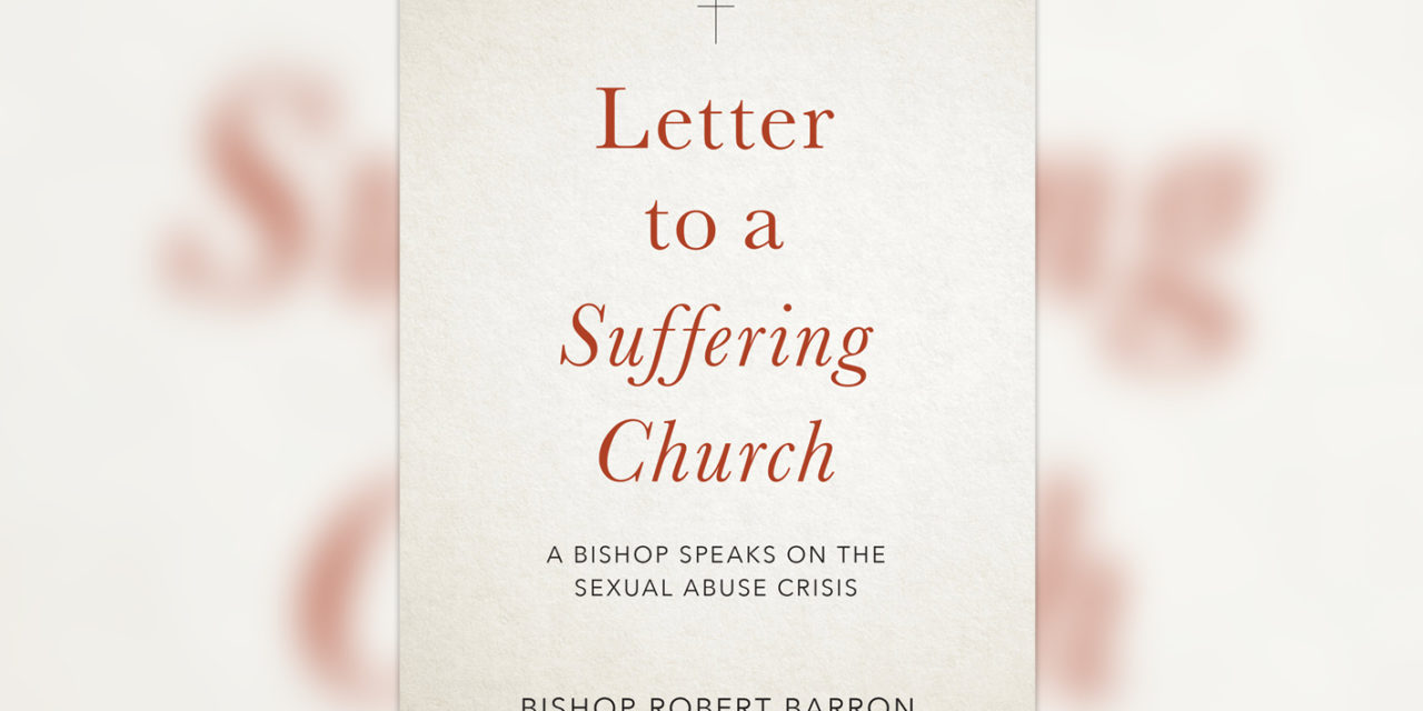 Bishop Barron says book on abuse crisis written from his ‘pastor’s heart’