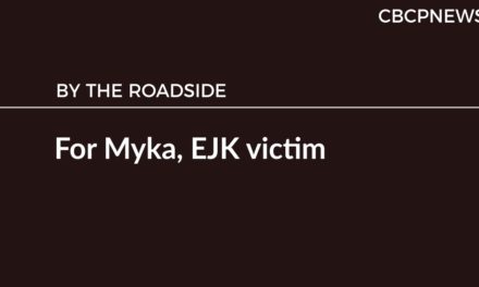 For Myka, EJK victim