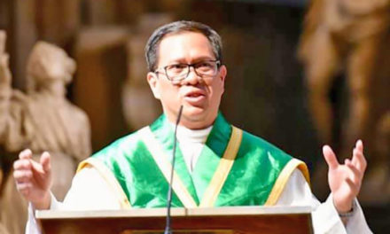 Priest refutes senator: ‘Divorce will never be pro-family’