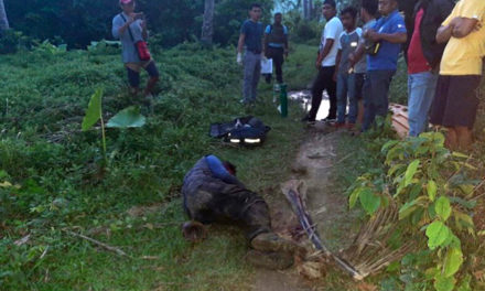 Palawan prelate decries killing of forest ranger