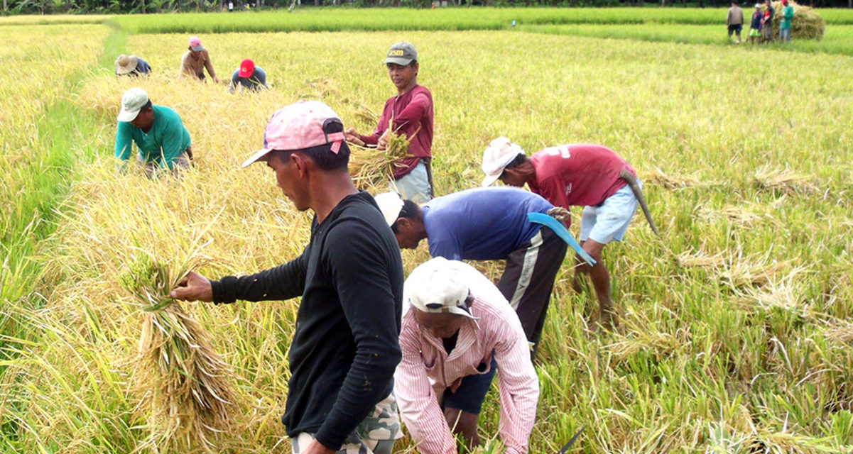 ‘Listen to cry’ of farmers, bishop urges gov’t