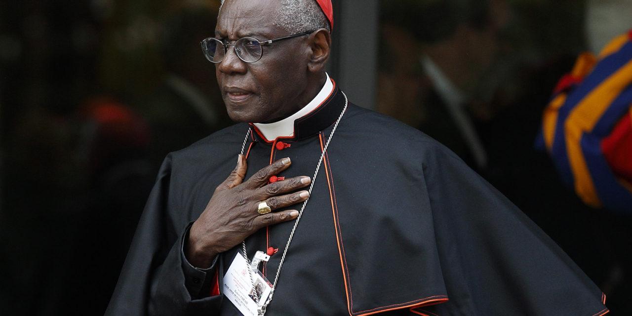 Cardinal Sarah: To oppose the pope is to be outside the church