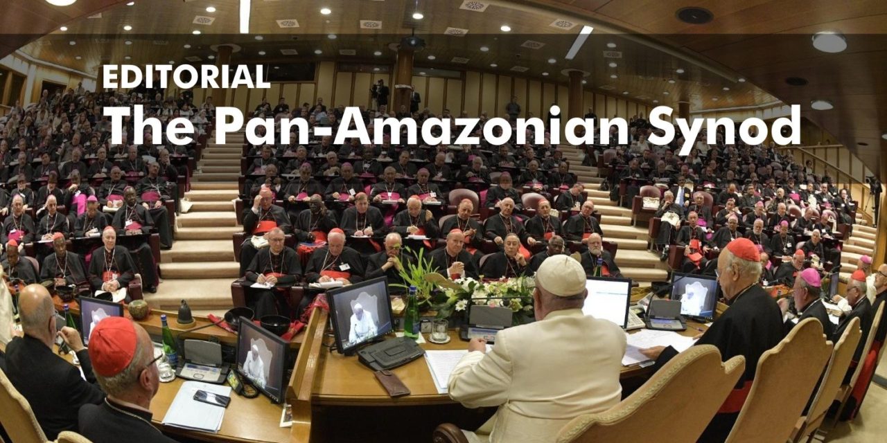 The Pan-Amazonian Synod