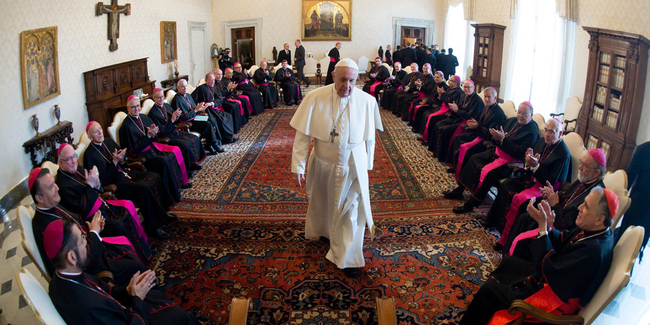 Pope urges bishops to teach discernment, including on political issues