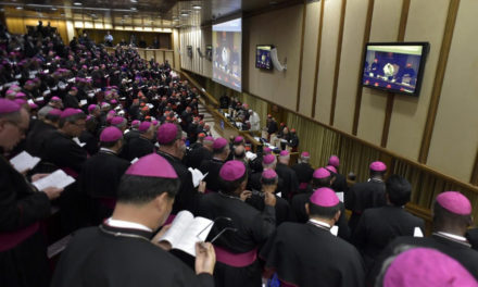 Next ordinary synod of bishops to be held in 2022