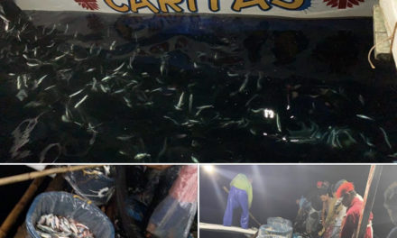 In Sorsogon, Church helps feed the needy with fish
