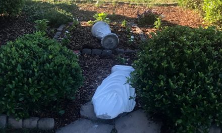 Statue of Virgin Mary beheaded at Tennessee parish