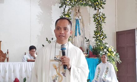 Palawan plebiscite: Bishop urges flock to ‘vote for common good’