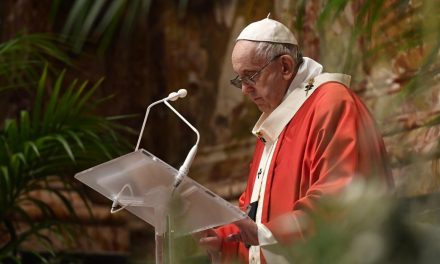 Full text: Pope Francis’ Palm Sunday homily