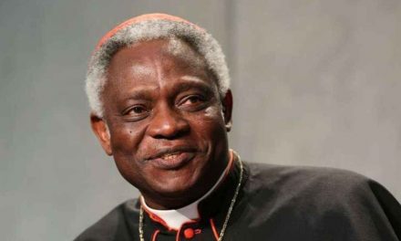 Cardinal Turkson marks World Health Day with call to rethink healthcare