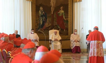 Pope Francis presides at consistory for canonization of blesseds