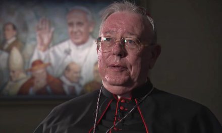 Pope Francis names Jesuit cardinal to key synod on synodality position