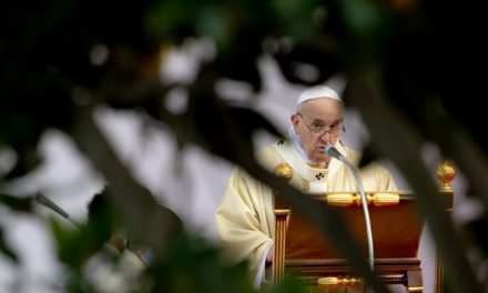 Pope Francis: Care for creation is one of the ‘great moral issues of our time’