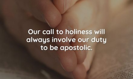 Developing the apostolic spirit
