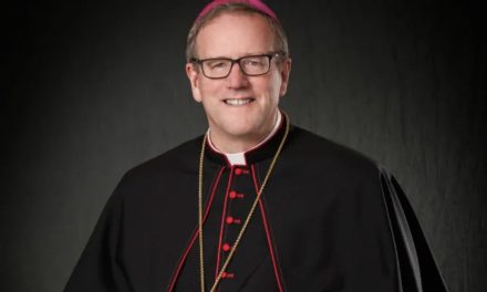 Pope Francis appoints Bishop Barron to lead Minnesota diocese