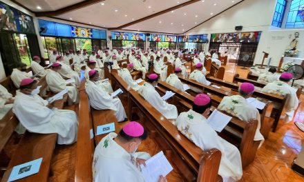 Bishops concur to creating public affairs ministry in dioceses