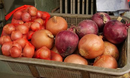 Onions and an economy of exclusion