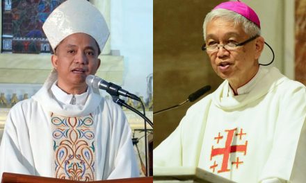 Palawan bishops elevate appeal against mining ops to Marcos