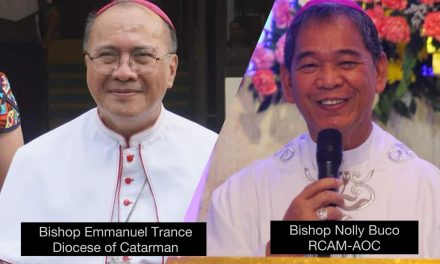 Pope Francis accepts Catarman bishop’s resignation, names apostolic administrator