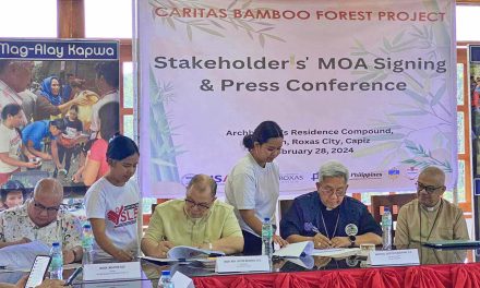 Caritas PH brings ‘bamboo forest’ project to Panay, Negros