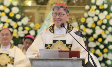 Cardinal Tagle calls on Cebu faithful to see Christ in others