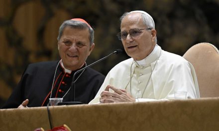 Pope Leo XIV: There’s no template for synodality across all countries