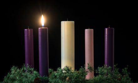 Strive to begin anew in the Eucharist,  as community of disciples