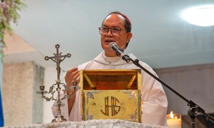 Animal cruelty has no place in church — cardinal