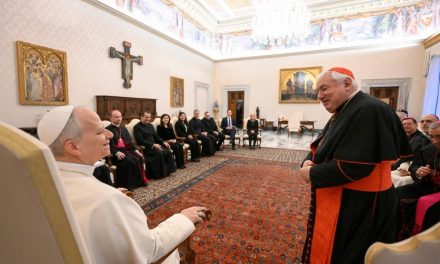 Pope Leo XIV expected to visit France in late September, bishops announce