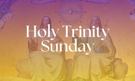 The Holy Trinity: A Call to Unity in a Divided Nation