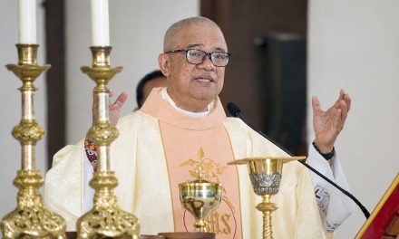 Church’s social action arm raises concerns over Pax Silica hub