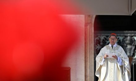 FULL TEXT: Pope Leo’s homily at closing Mass of Vatican meeting on ‘Amoris Laetitia’